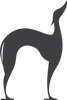 Agência Galgo